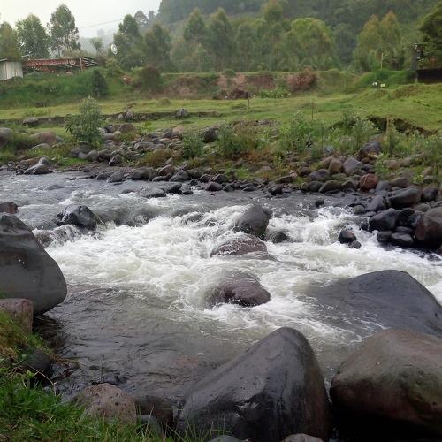 Photo #4476950