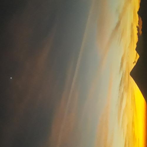 Photo #4477028