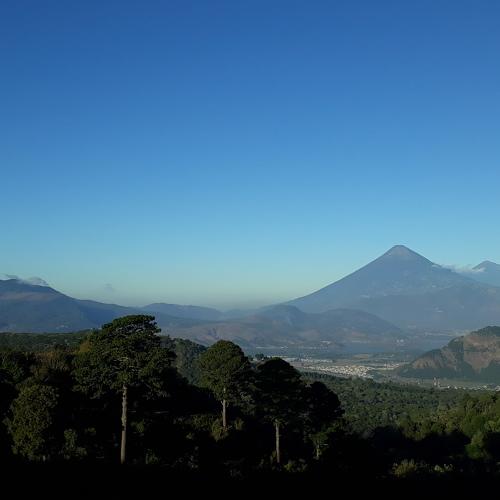 Photo #4477038