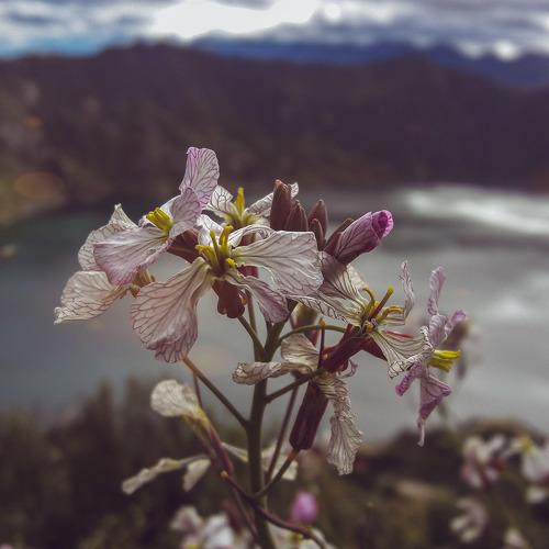 Photo #4477047