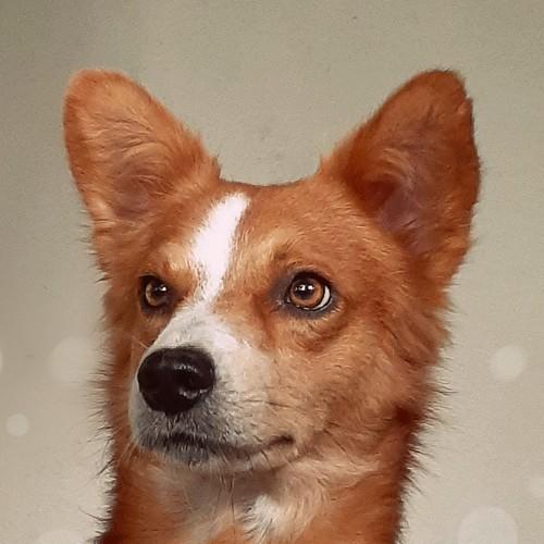 Felipe