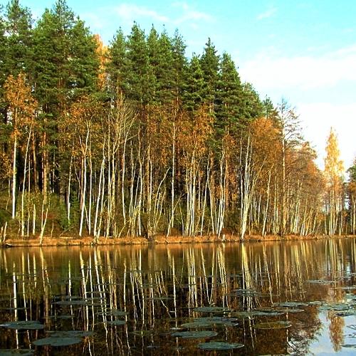 Photo #4477201