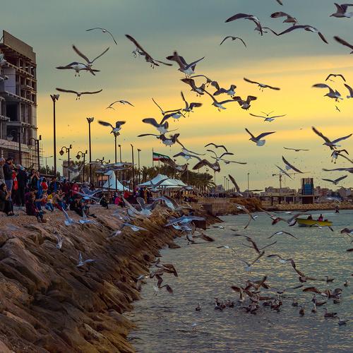 Photo #4477665