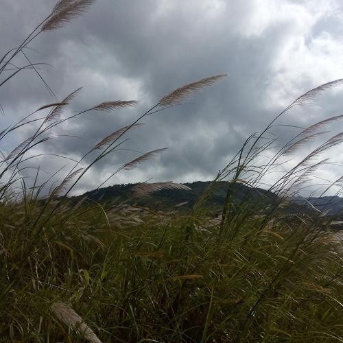 Photo #4477695