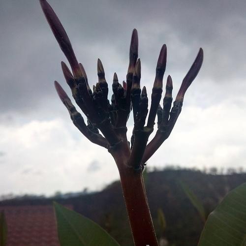 Photo #4477696