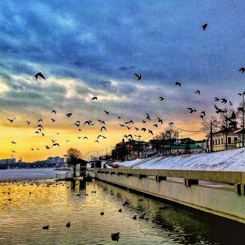 Photo #4478472