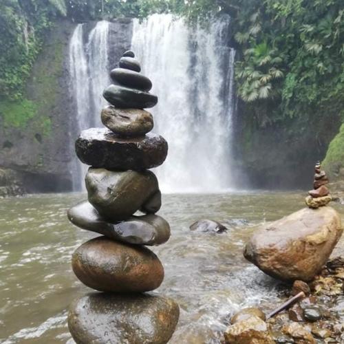 Photo #4478668
