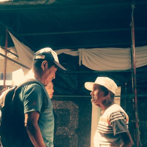 Photo #4478845