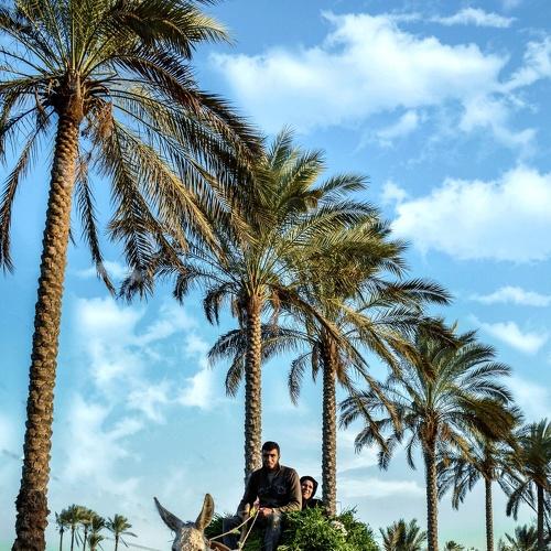 Photo #4478973