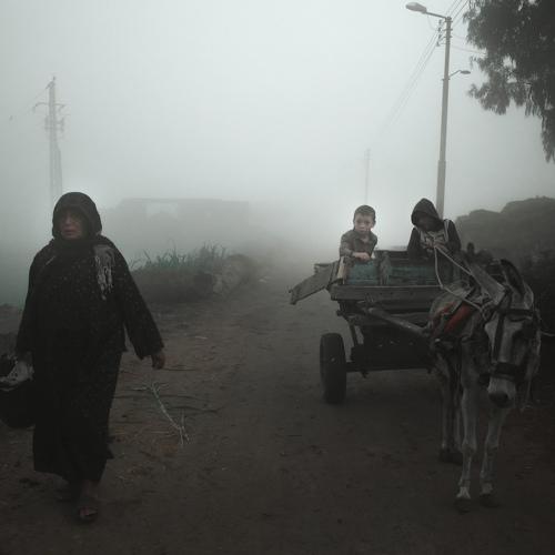 Photo #4478976