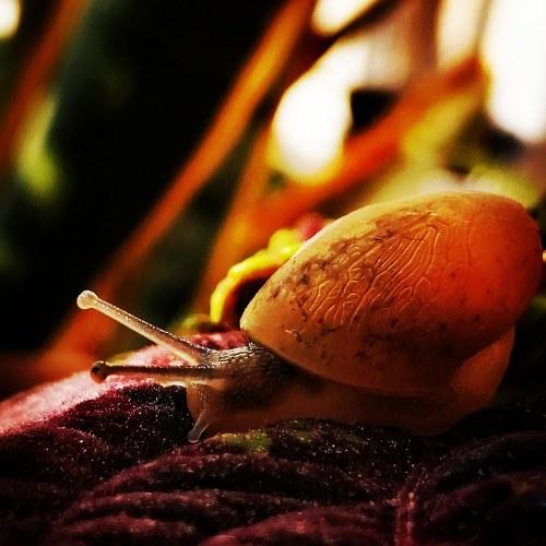 Photo #4479179