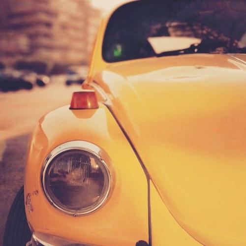 Photo #4479190