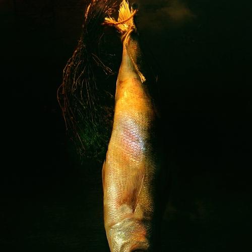 Photo #4479273