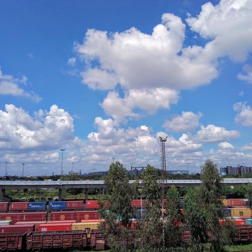 Photo #4479300