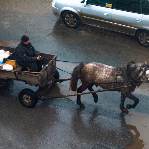 Photo #4479763