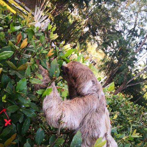 Photo #4480308