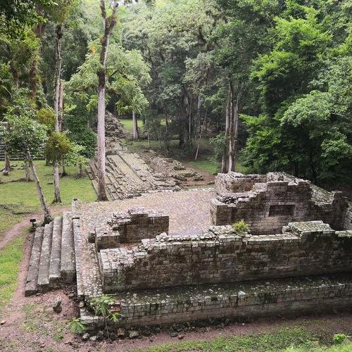 Photo #4480315