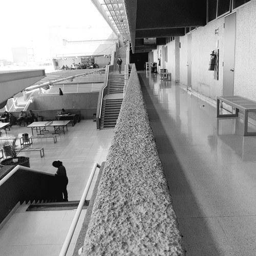 Photo #4480466