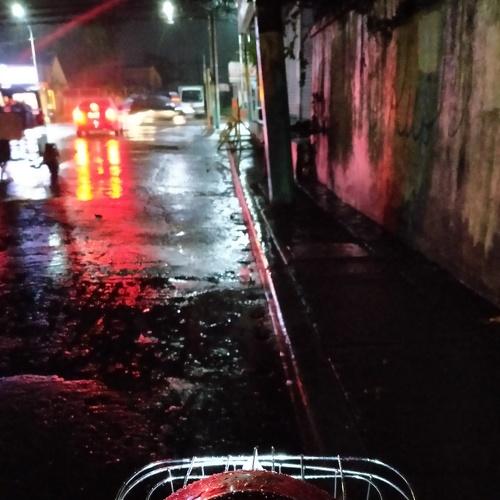 Photo #4480470