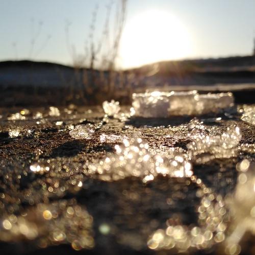 Photo #4480567