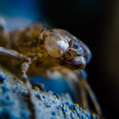 Photo #4480611