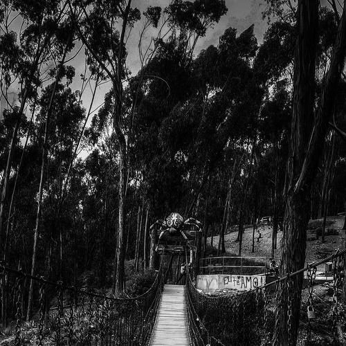 Loneliness