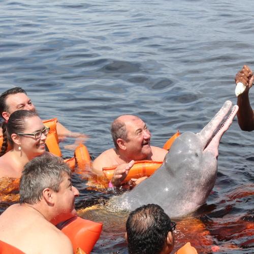 VIVA AMAZÔNIA POR FABRÍCIO GOMES