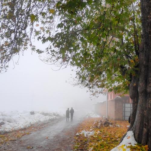 Photo #4481280