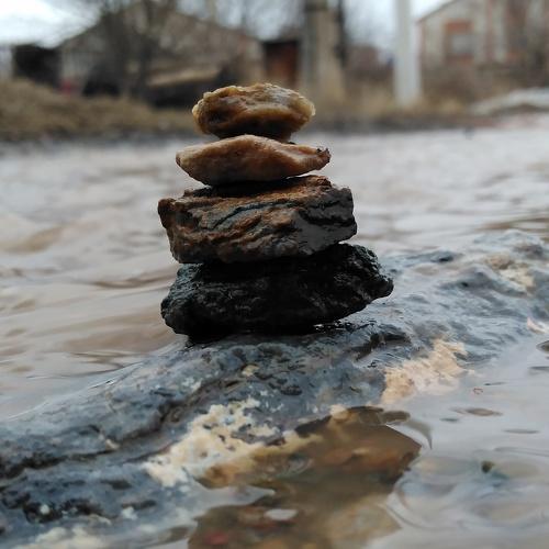 Photo #4481536