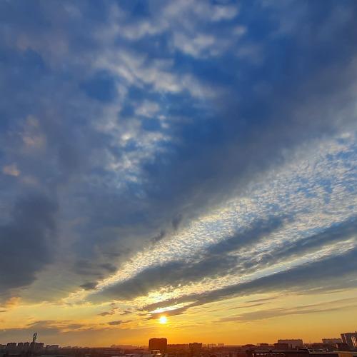 Photo #4481698