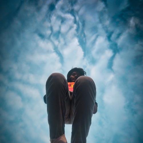 Photo #4481821
