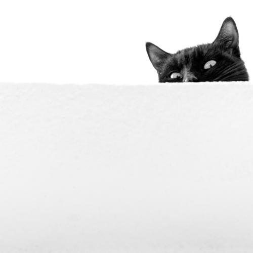 I am watching you