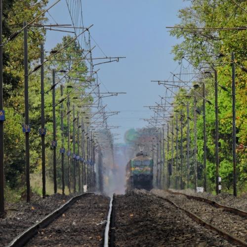 Photo #4482425