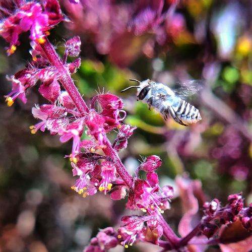 Photo #4482565