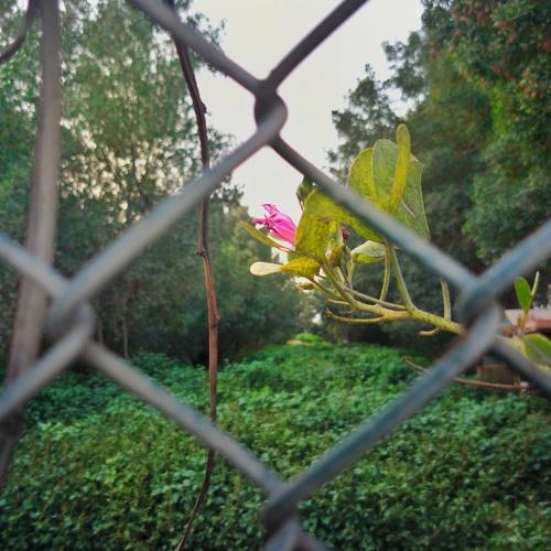 Photo #4482577