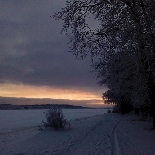 Photo #4482847