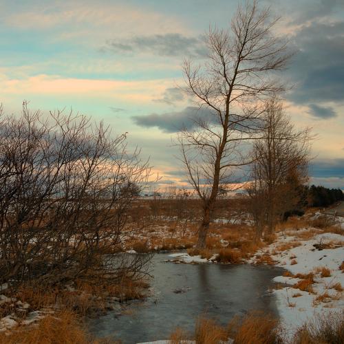 Photo #4482879