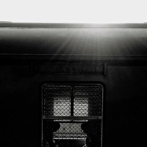 Photo #4483087