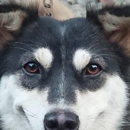 Photo #4483105