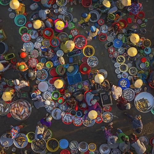 Color of The Market
