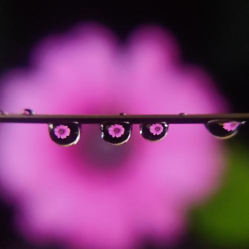 Photo #4483399