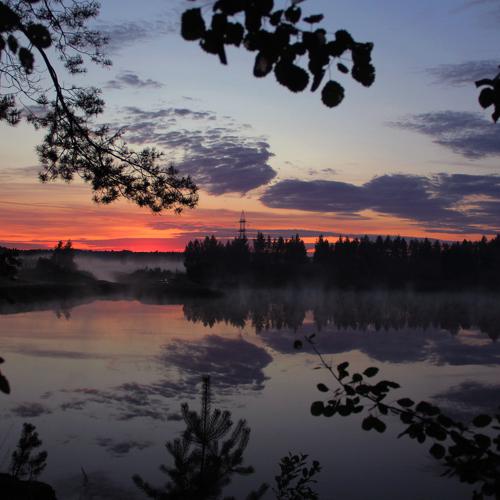 Photo #4483636