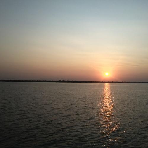 Photo #4483847