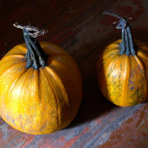Photo #4483900