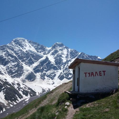 Photo #4484094