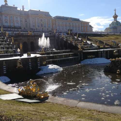 Photo #4484096