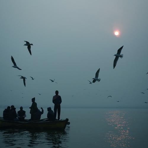 Photo #4484931