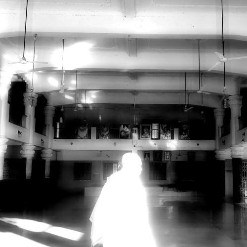 Photo #4485060