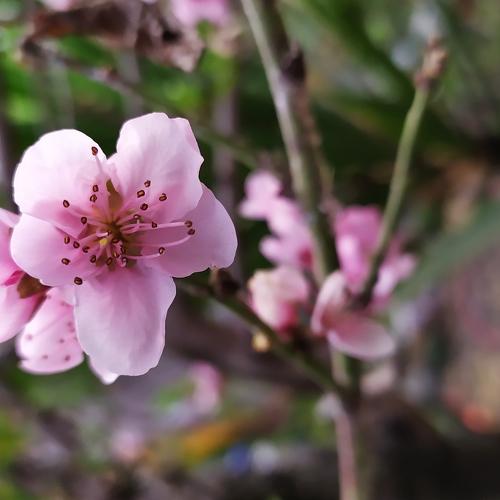 Photo #4485200