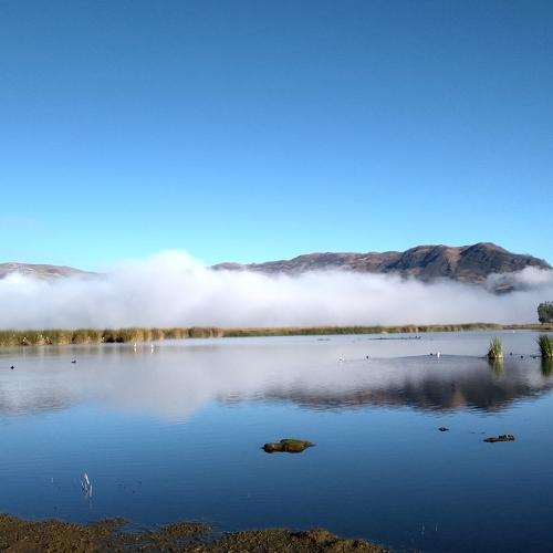 Photo #4485257